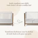 Barrière de transition Laurel - Blanc